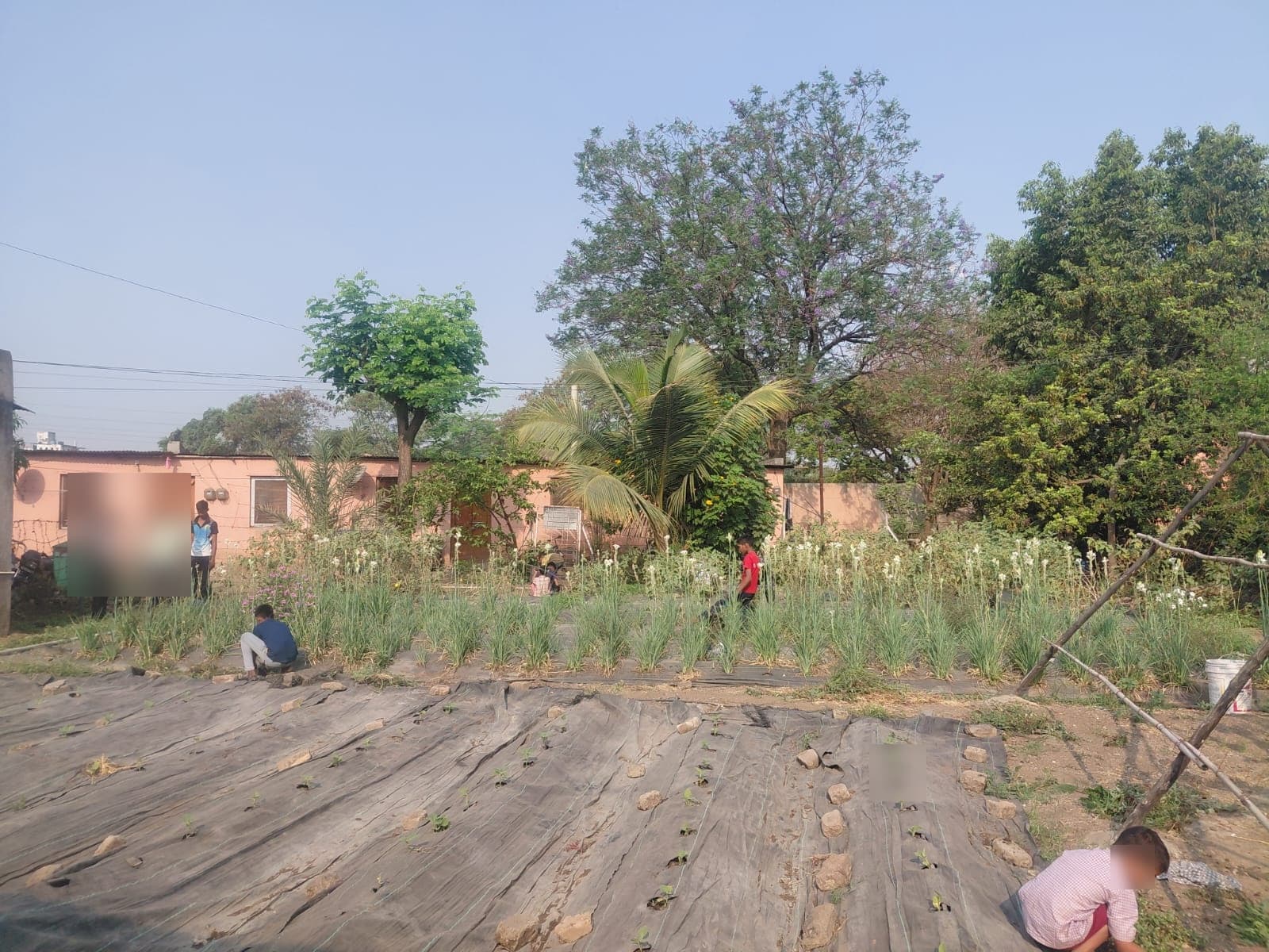 Garden & Organic Farming - Photo