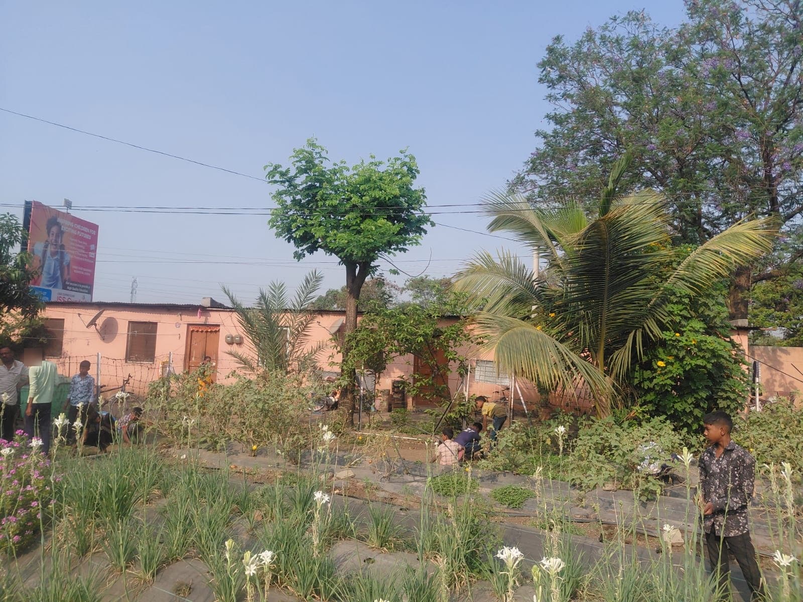 Garden & Organic Farming - Photo