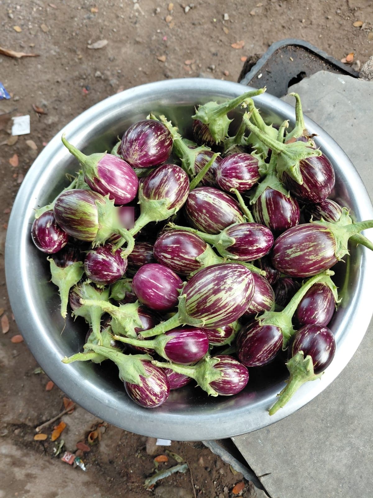 Garden & Organic Farming - Photo