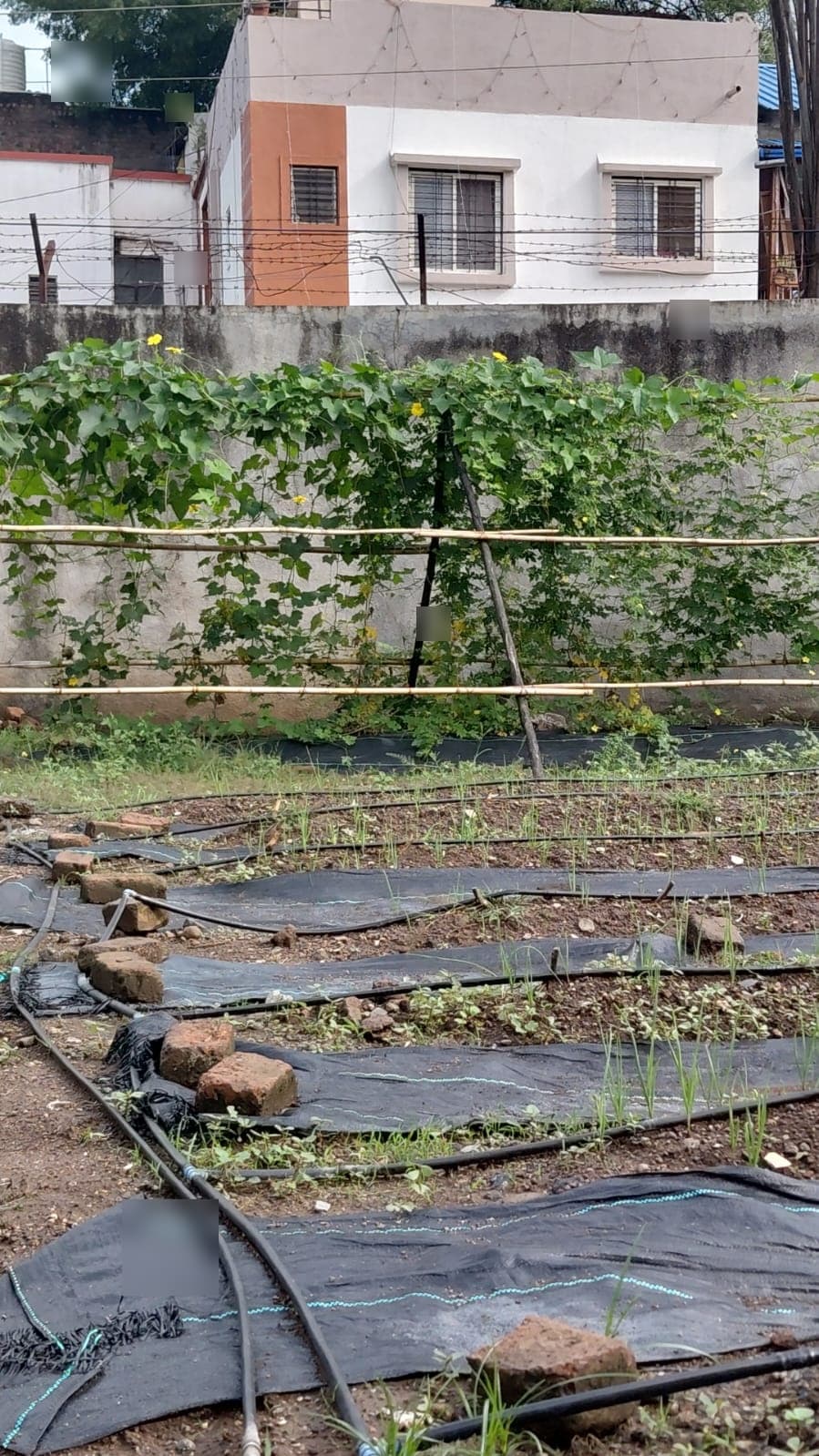 Garden & Organic Farming - Photo