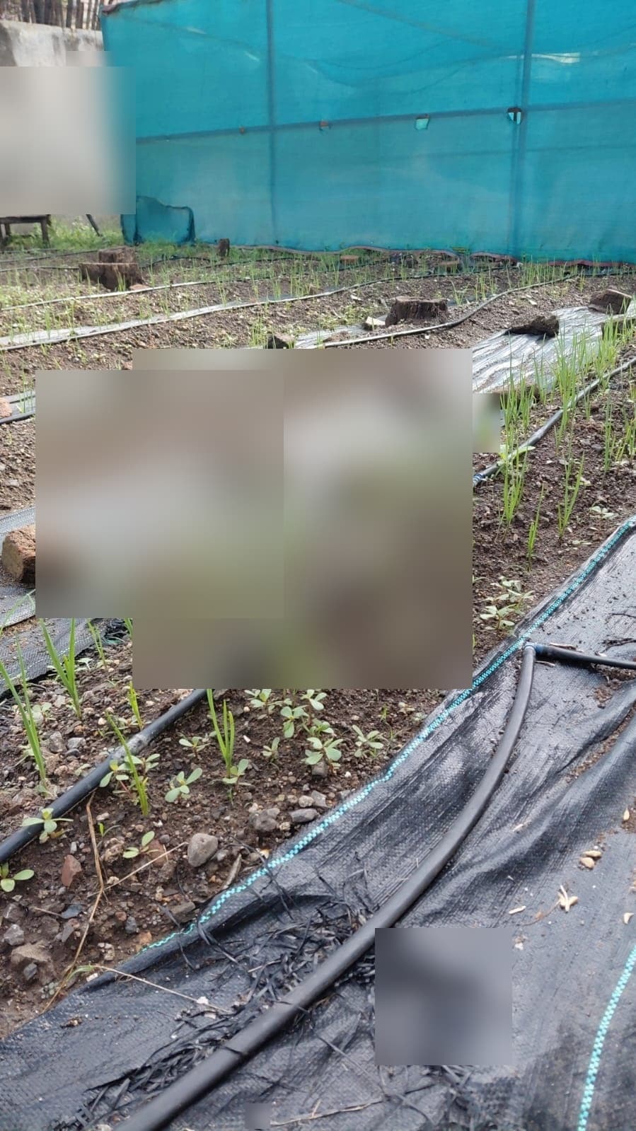 Garden & Organic Farming - Photo