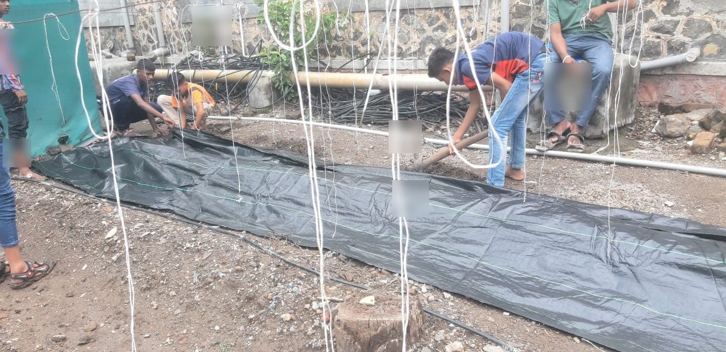 Garden & Organic Farming - Photo