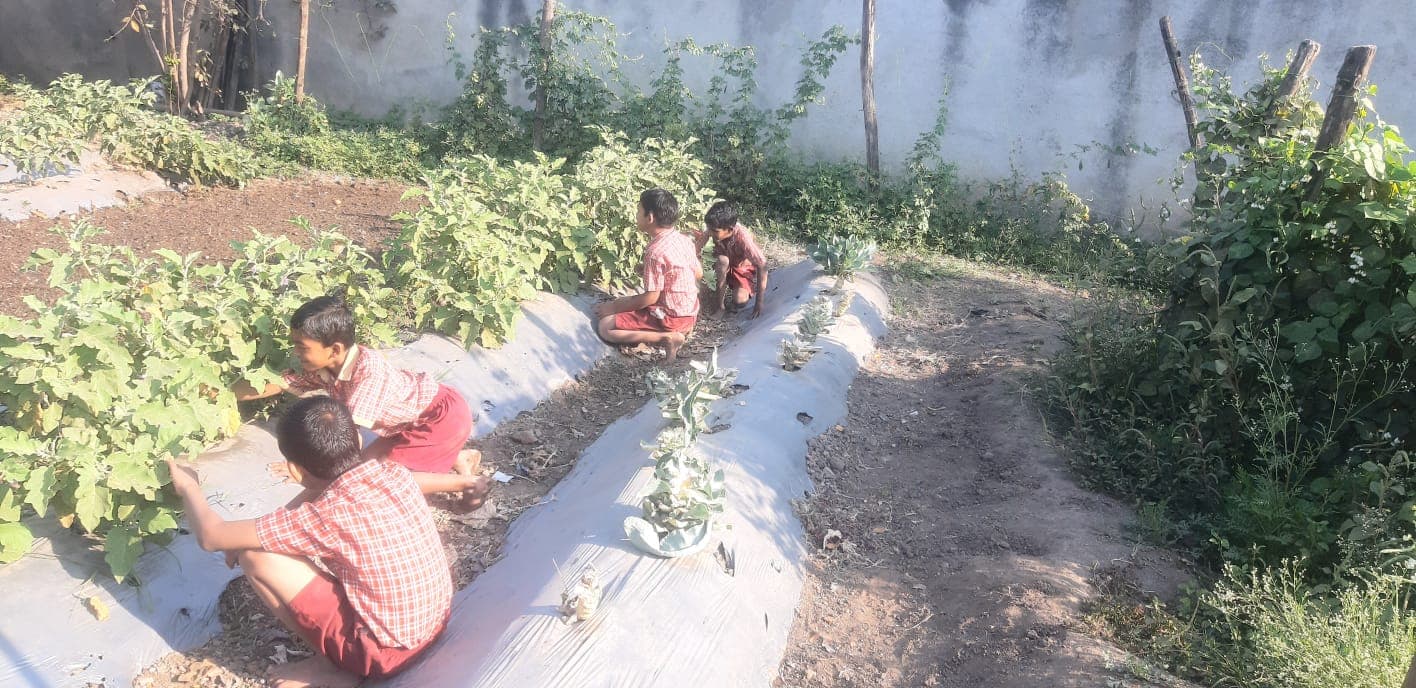 Garden & Organic Farming - Photo