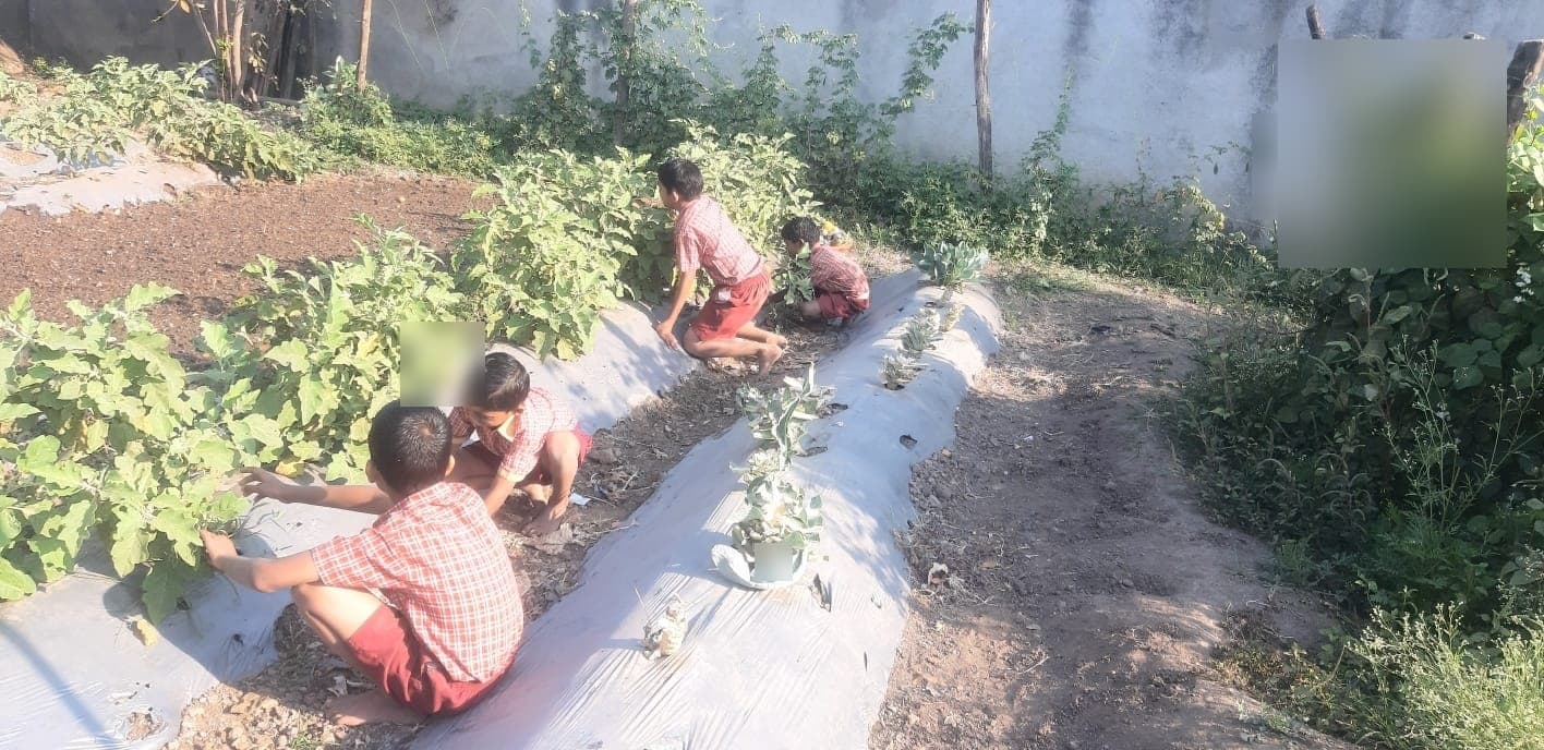Garden & Organic Farming - Photo