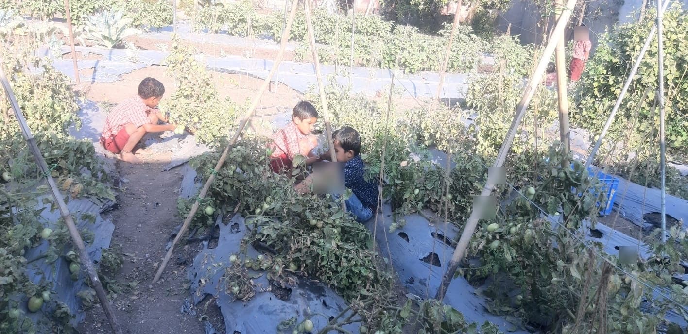 Garden & Organic Farming - Photo