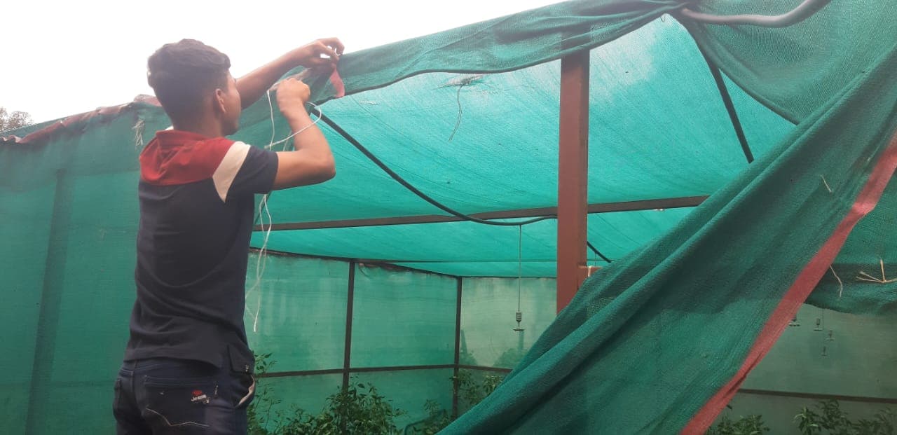 Garden & Organic Farming - Photo