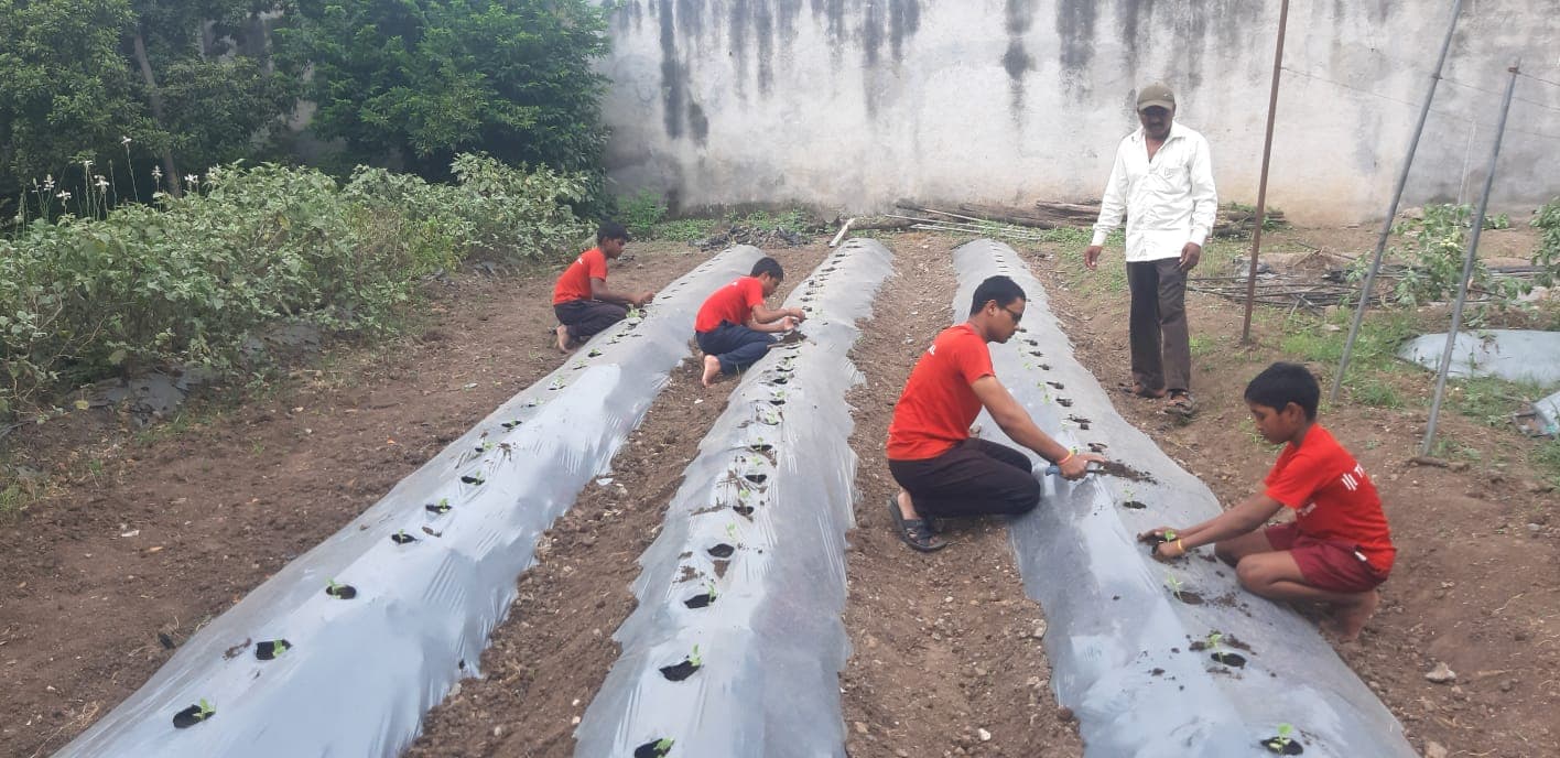 Garden & Organic Farming - Photo