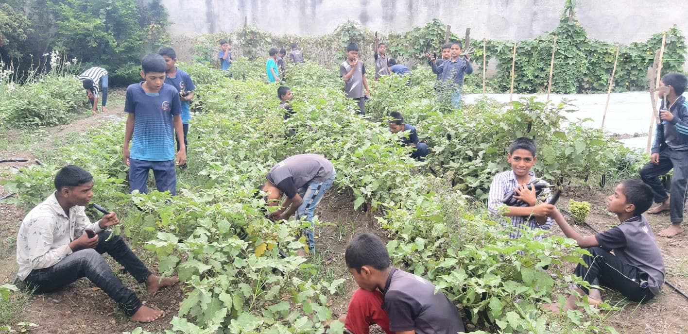 Garden & Organic Farming - Photo