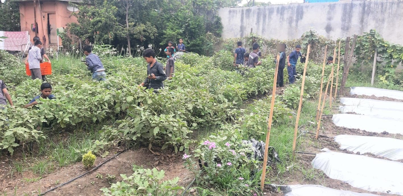 Garden & Organic Farming - Photo