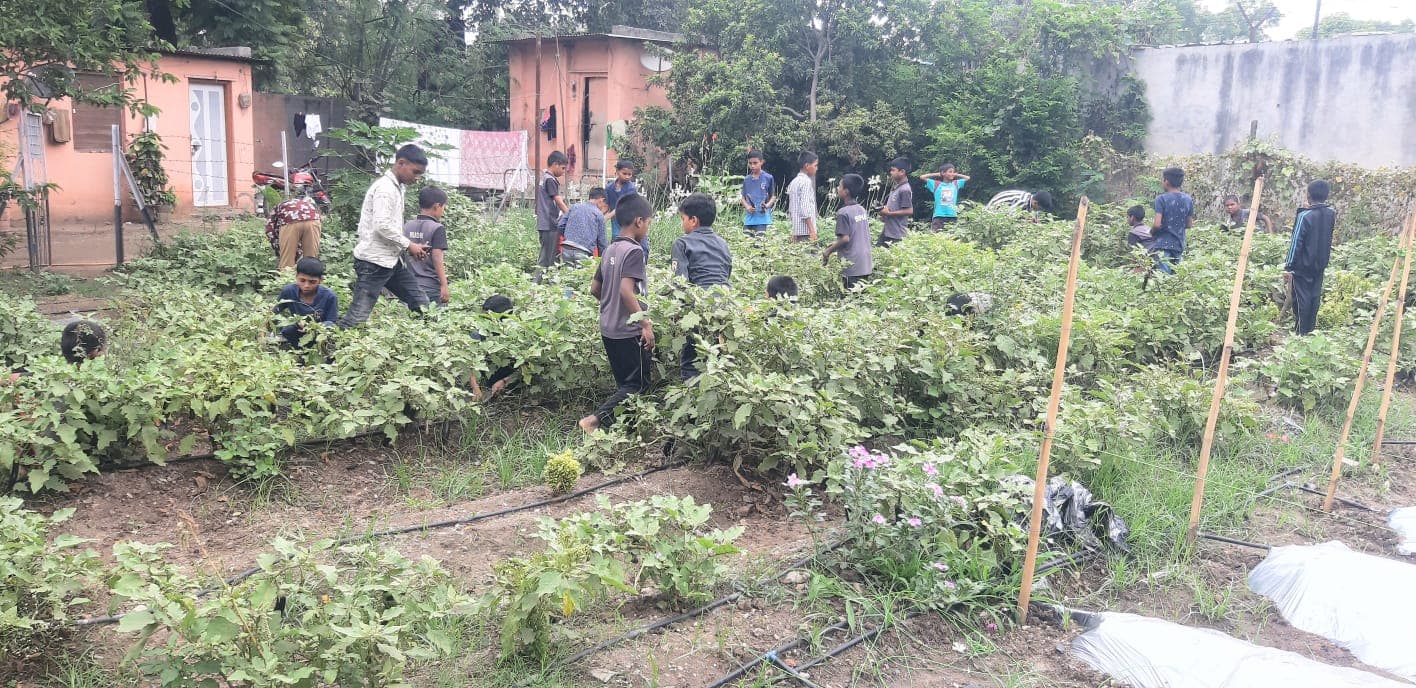 Garden & Organic Farming - Photo