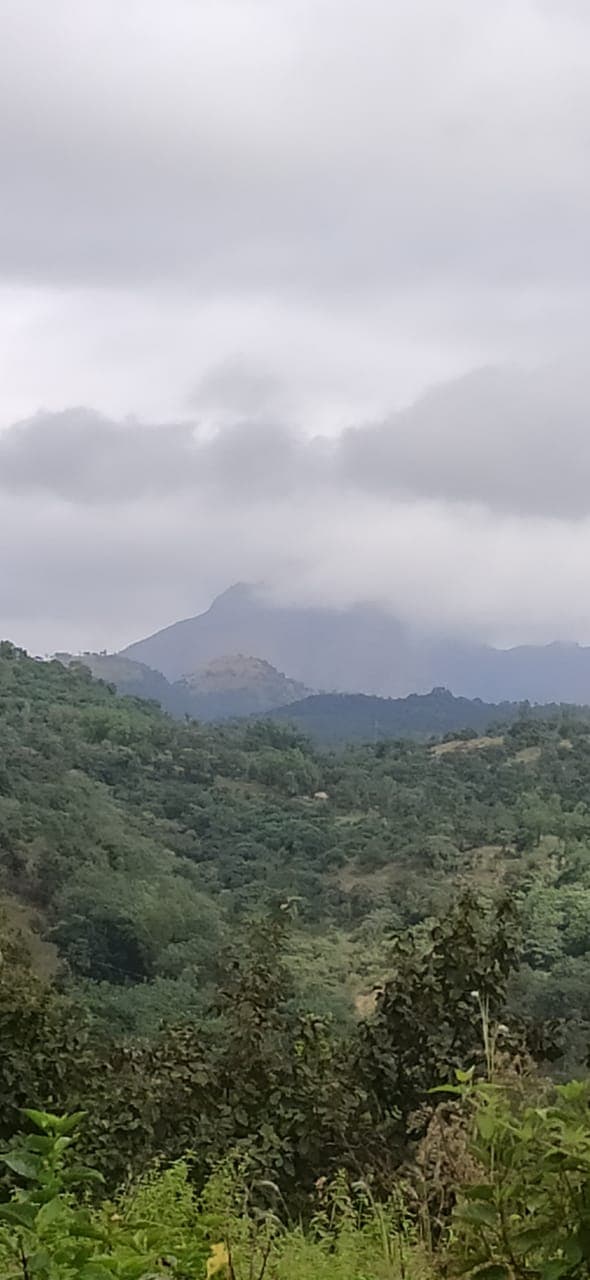 Bhandardara Trip - Photo