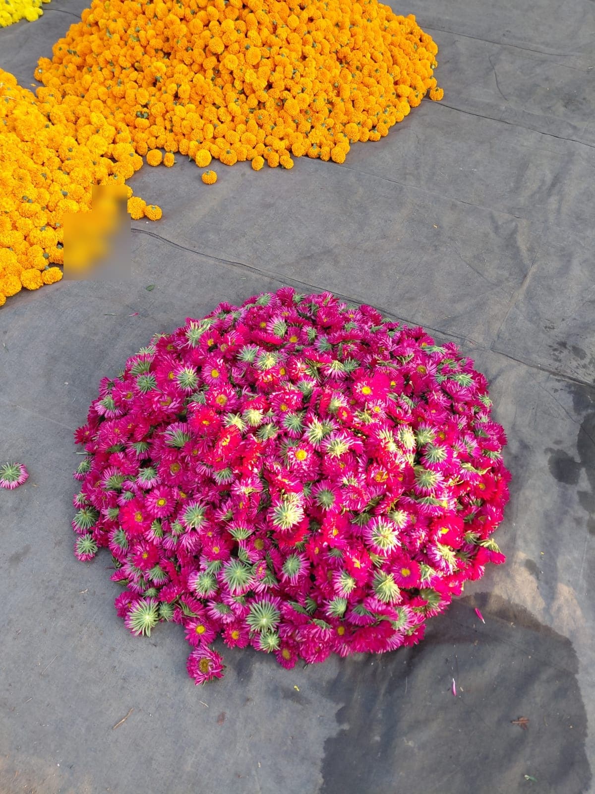 Dasara Phul Mala Activity - Photo